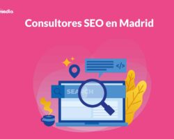 consultores SEO madrid